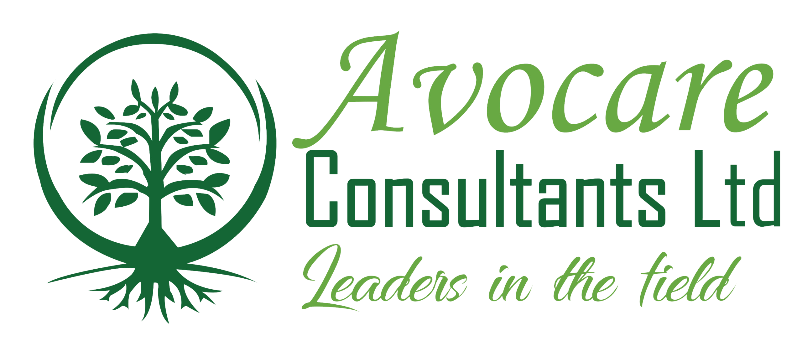 Avocare Consultants